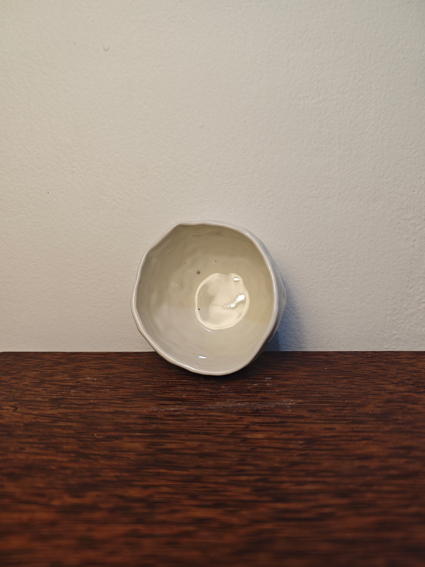 TITANIUM SERIES — PETITE 001