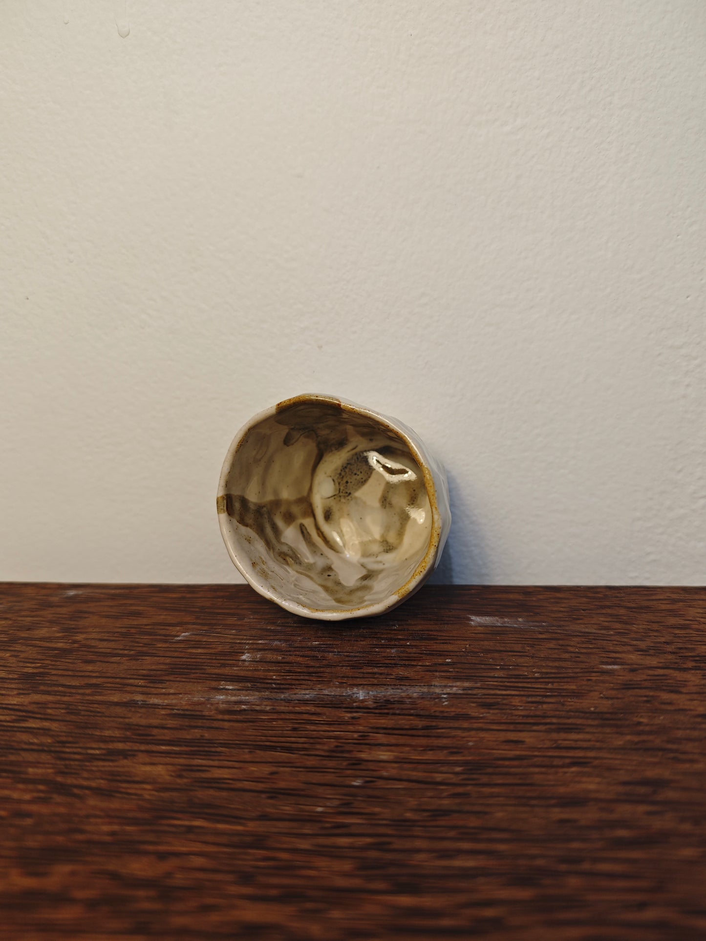 TITANIUM SERIES — PETITE 005