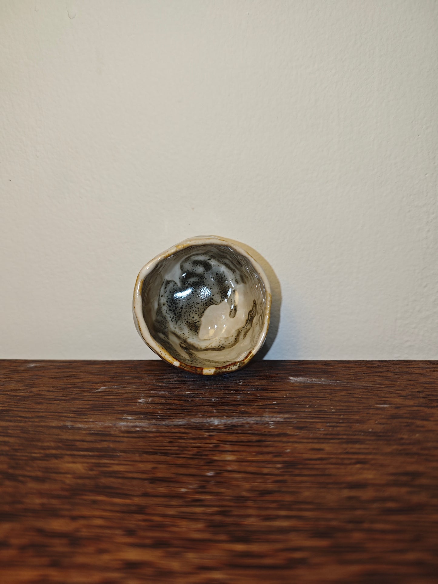 TITANIUM SERIES — PETITE 006