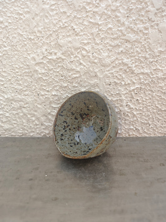 TERAKOTA SERIES — GUINOMI 009