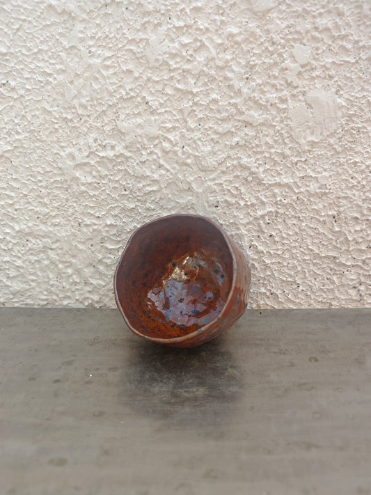 TERAKOTA SERIES — GUINOMI 012