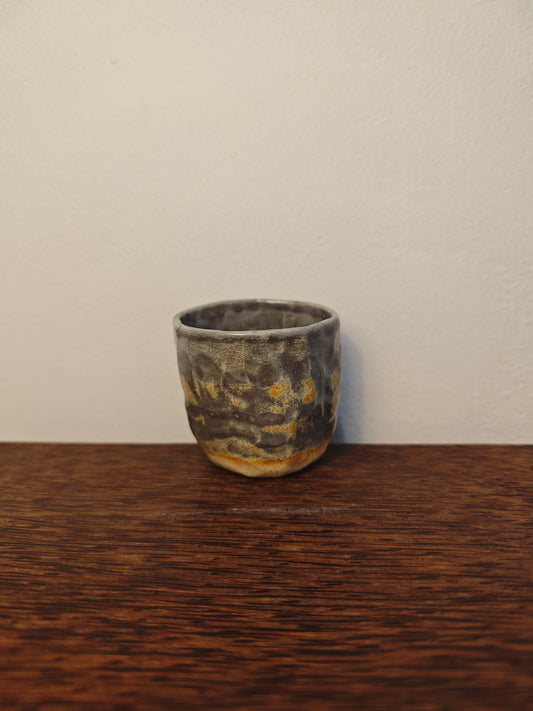 COPPER SERIES — PETITE 001