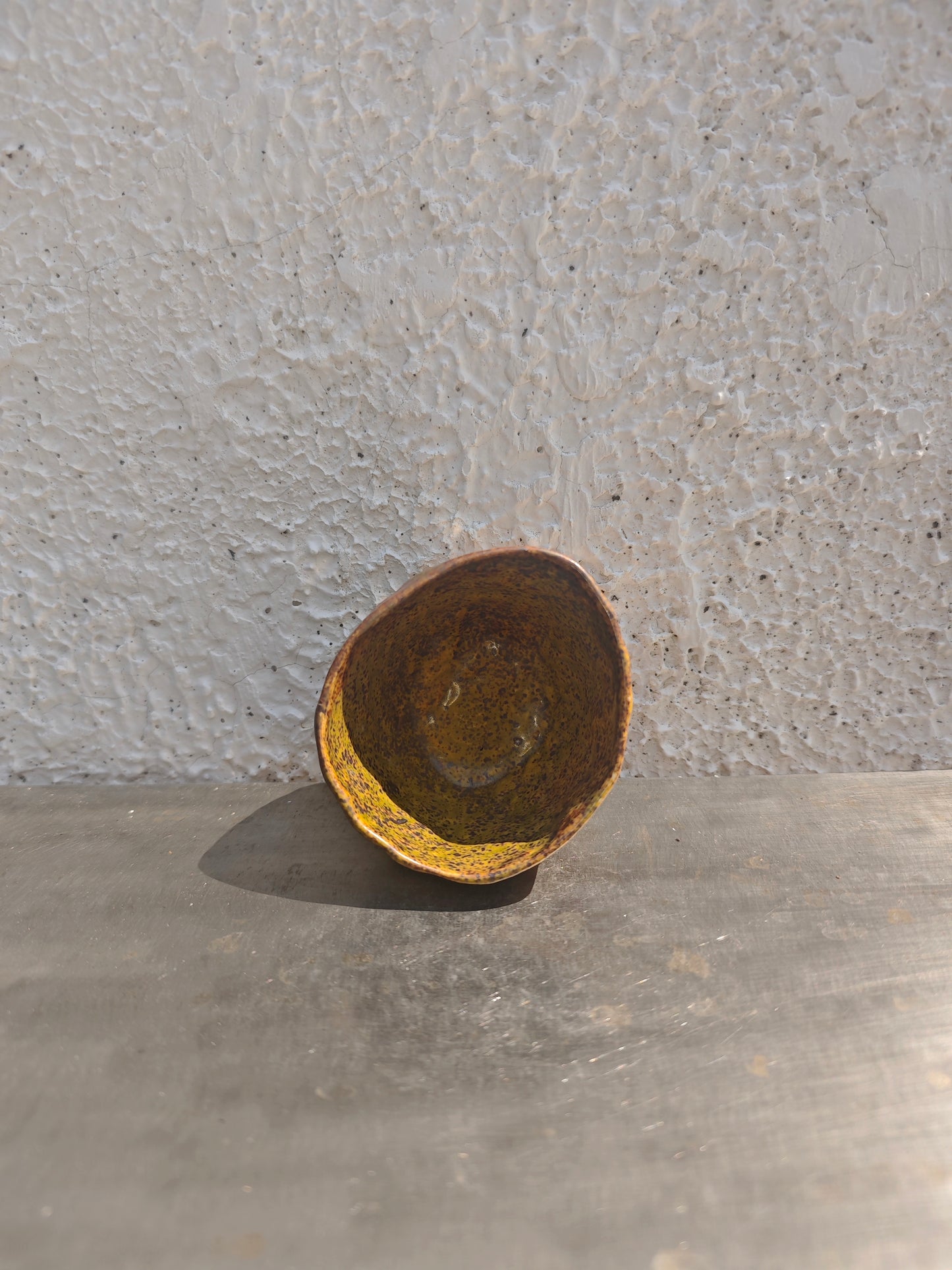IRON SERIES — PETITE 001